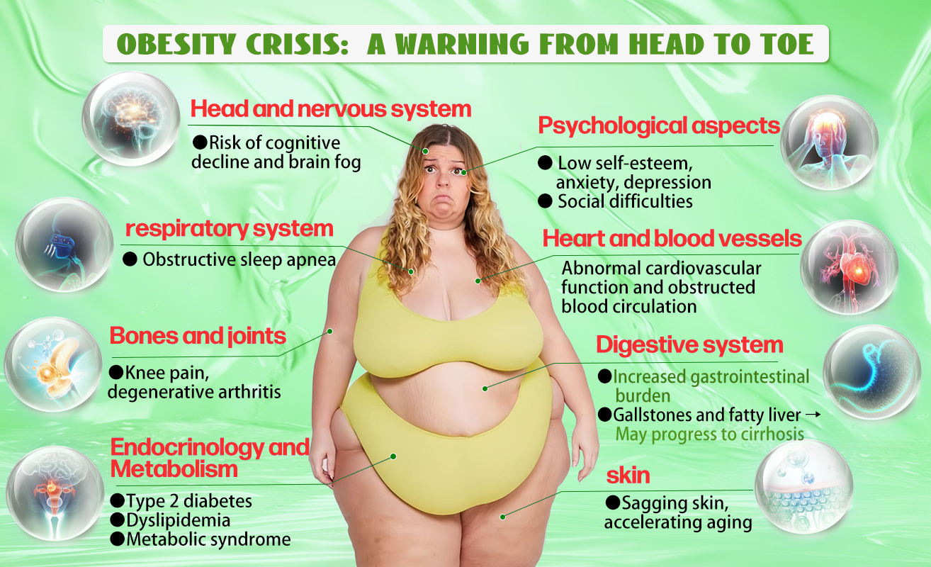 𝑶𝒇𝒇𝒊𝒄𝒊𝒂𝒍 𝑺𝒕𝒐𝒓𝒆|👨‍⚕️👨‍⚕️HH𝐕𝐁® 𝐍𝐀𝐃+ 𝐆𝐋𝐏-𝟏 Pro ALL-IN-ONE Fit&Vital 𝐎𝐫𝐚𝐥 𝐋𝐢𝐪𝐮𝐢𝐝 (𝐉𝐮𝐬𝐭 𝐨𝐧𝐜𝐞 𝐚 𝐝𝐚𝐲, 𝐯𝐢𝐬𝐢𝐛𝐥𝐞 𝐜𝐡𝐚𝐧𝐠𝐞𝐬 𝐢𝐧 𝟕 𝐝𝐚𝐲𝐬） ✅ 𝐅𝐨𝐫 𝐨𝐛𝐞𝐬𝐢𝐭𝐲, 𝐜𝐚𝐫𝐝𝐢𝐨𝐯𝐚𝐬𝐜𝐮𝐥𝐚𝐫 𝐡𝐞𝐚𝐥𝐭𝐡, 𝐝𝐢𝐚𝐛𝐞𝐭𝐞𝐬, 𝐬𝐥𝐞𝐞𝐩 𝐚𝐩𝐧𝐞𝐚, 𝐆𝐮𝐭 𝐇𝐞𝐚𝐥𝐭𝐡, 𝐣𝐨𝐢𝐧𝐭 𝐢𝐬𝐬𝐮𝐞𝐬, 𝐚𝐧𝐝 𝐦𝐨𝐫𝐞